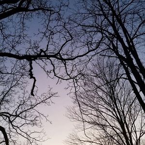 Meet your Posher, Aryanna